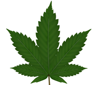 marijuana leaf denotes cannabis research