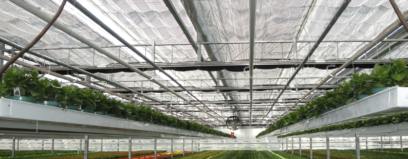energy curtains in a greenhouse