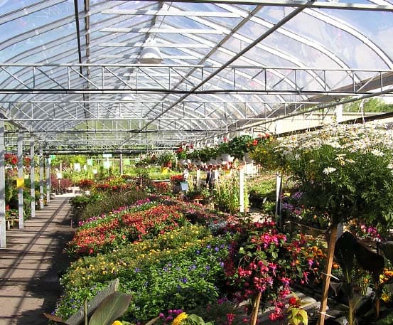 Commercial greenhouse for sale.